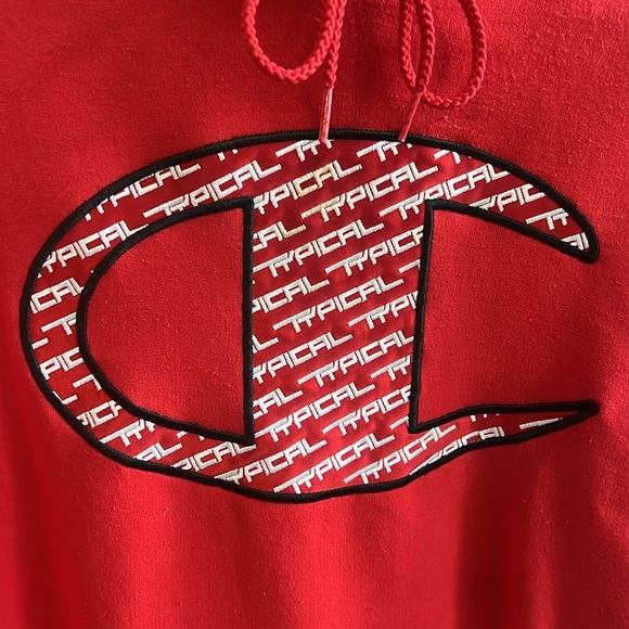 Typical Gamer Champion Hoodie - Picture 2 of 3